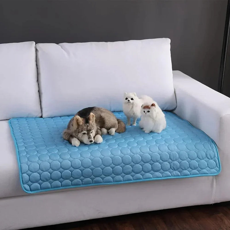 Tapete gelado para pets
