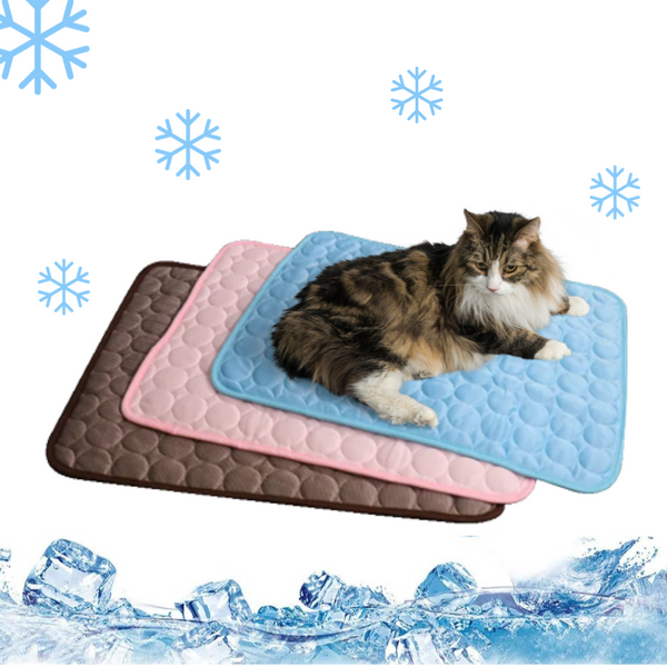 Tapete gelado para pets