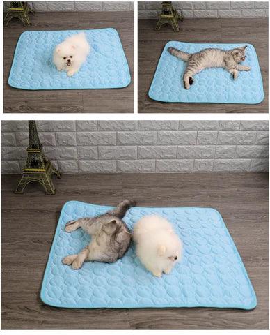Tapete gelado para pets