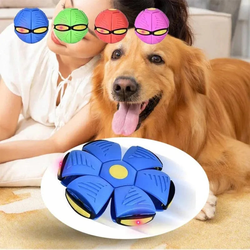 Bola pula pula para pets