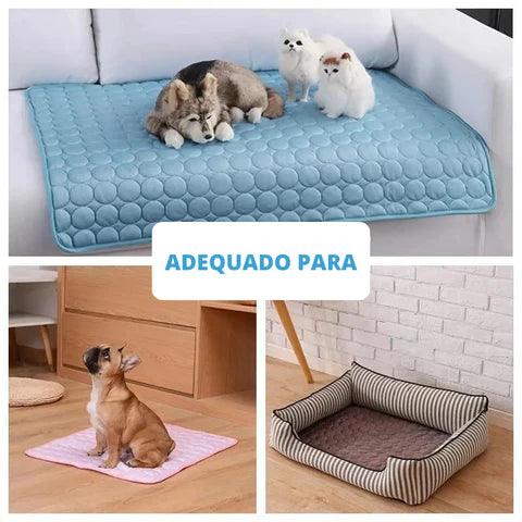 Tapete gelado para pets